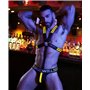 BREEDWELL Yellow Glow Cross Harness