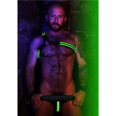 BREEDWELL Green Glow Asymmetrical Harness