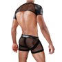 TOF - Full Harness Spartacus Black