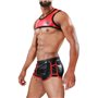 TOF - Harness Deri Red