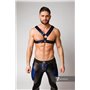 MASKULO - 2 Fronts Chest Harness Royal Blue