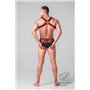 MASKULO - Youngero Y Men's Fetish Bulldog Harness Red