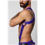 Gunner Neoprene Harness Blue