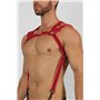 Trident Neoprene Harness Red