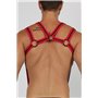 Trident Neoprene Harness Red