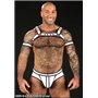 Neo Bold Color Full Access Brief Grey