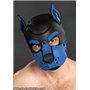 Neo K9 Hood Cobalt