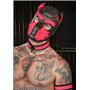 Mr-S Neoprene Puppy Hood: Pink