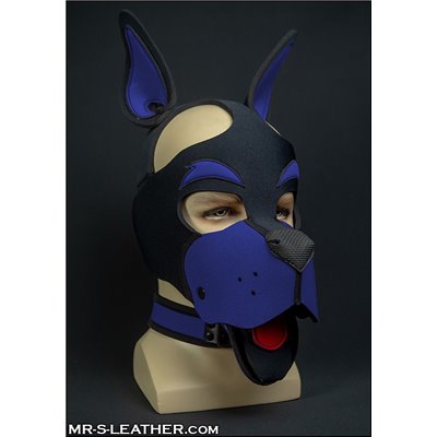 Neo WOOF! Head Harness Royal Blue