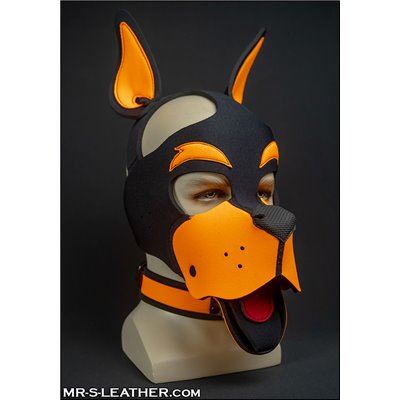 Neo WOOF! Head Harness Orange