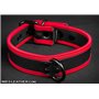 Neo Puppy Collar Red Piping