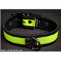 Neo Puppy Collar Lime