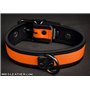 Neo Puppy Collar Orange