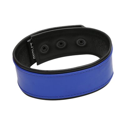 Addikt Leather Armband: Blue